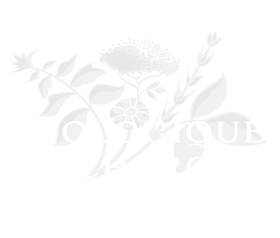 Logo Biologique Recherche Paris